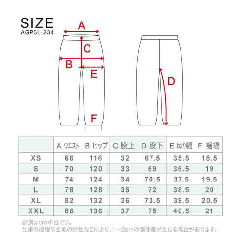 ASHGREEM (アッシュグリーム) 【予約商品】 25-26 スノーボードウェア パンツ 単品 ウェーブ 切替 AGP3L-234 スノーウェア スノボウェア スキーウェア スノボーウェア 下 スノーパンツ メンズ レディース 新作